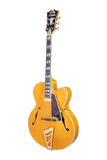 D'Angelico Excel EXL-1 Amber