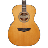 D'Angelico Premier Tammany Vintage Natural