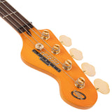 Joe Doe 'Lutetia' Bass by Vintage Blueburst with Case