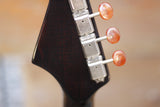 Fender FM-60E SB 5-string Electric Mandolin