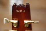 Aria Pro II PE-500 Tobacco Sunburst