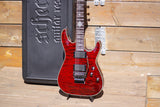 Schecter Damien Elite-6 FR Crimson Red Burst