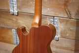 Perinetti HM-1 Custom Art Ignacia Jullian