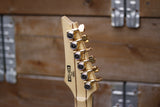 Ibanez PGM50-BK Paul Gilbert Signature Black