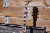 D'Angelico Deluxe Brighton Eric Krasno Signature