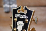 D'Angelico Deluxe Brighton Eric Krasno Signature