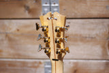 D'Angelico Deluxe Brighton Eric Krasno Signature