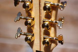 D'Angelico Deluxe Brighton Eric Krasno Signature