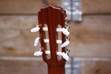 Aria AK-80 Classical