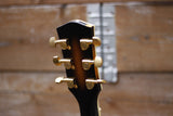 Richwood RE-450 Artist Series