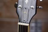 DeArmond Starfire Special Sunburst