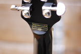 Schecter Diamond Series Stargazer Black
