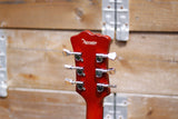 The Alternative Guitar Company Smiling Bull Cherry Burst