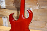 The Alternative Guitar Company Smiling Bull Cherry Burst