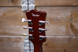The Alternative Guitar Company Mal n' Sal Sunburst
