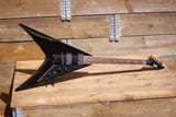 LTD DV-200 Dave Mustaine Signature