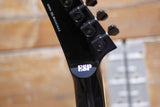 LTD DV-200 Dave Mustaine Signature