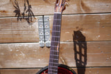 Bromo BEN2C 3TS Fusion Craft Series Nylon 3 Tone Sunburst
