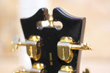D'Angelico Excel SS Black Dog