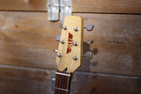 Gun Guitars Model T Green 2012