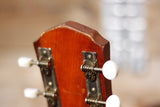Fender F-1010 1971 Natural