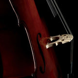 Fishman PRO-C20-0CE Concert Series Cello Pickup